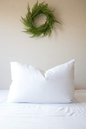 Pacific Coast Touch of Down Pillow Set 2-Pack with Protectors