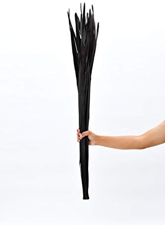 Leewadee Dried Palm Leaves Vase Filler 2 Bunches 45 Inches Black Brown