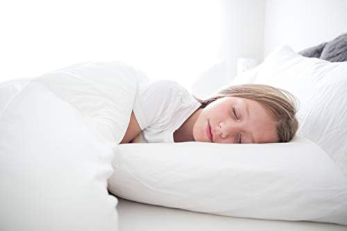 Pacific Coast Touch of Down Pillow Set 2-Pack with Protectors