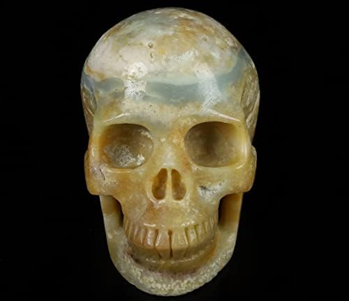Skullis 50 Chinese Amazonite Crystal Skull Statue