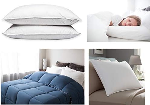Pacific Coast Touch of Down Pillow Set 2-Pack with Protectors