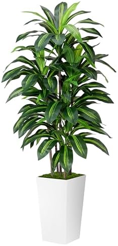 ASTIDY 5FT Artificial Dracaena Plant with White Planter