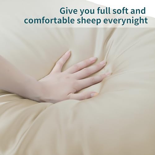Zaizaihome Queen Pillow Protectors 2 Pcs Zippered Bamboo Viscose Beige