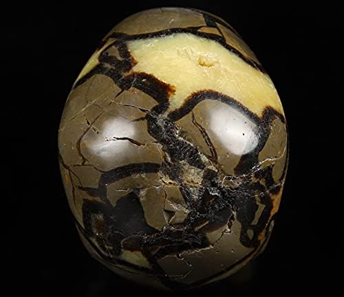 Skullis Dragon Septarian Crystal Skull Sculpture