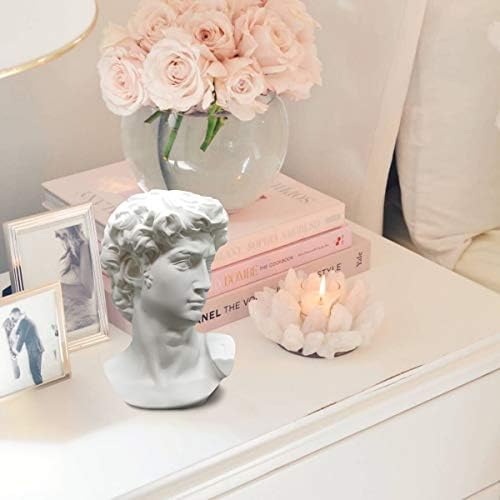 Greek Statue of David - 6 Inch Head Bust Decor
