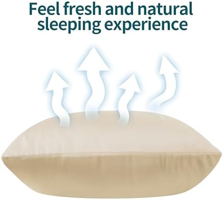 Zaizaihome Queen Pillow Protectors 2 Pcs Zippered Bamboo Viscose Beige
