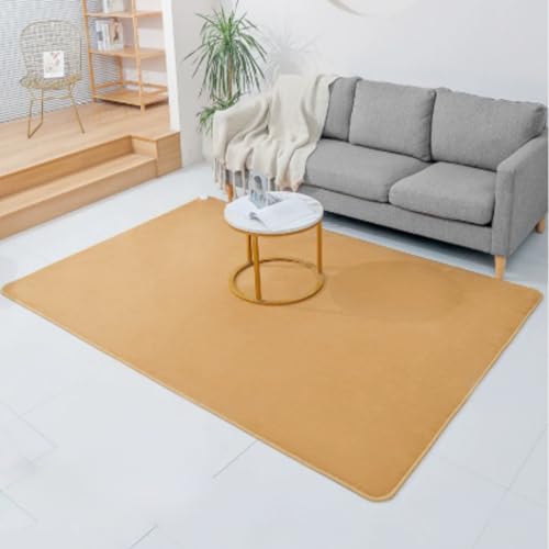 Heated Area Rug with Timer and Overheat Protection