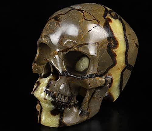 Skullis Dragon Septarian Crystal Skull Sculpture