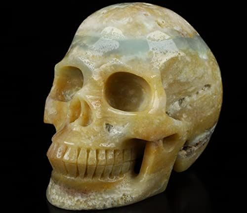 Skullis 50 Chinese Amazonite Crystal Skull Statue