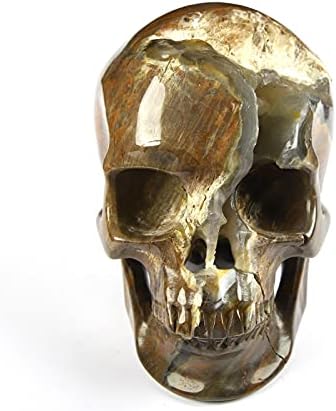 Skullis 50 Crystal Dinosaur Egg Agate Skull