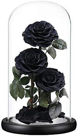 Perfectione Roses Preserved Flowers in Glass Dome Black Roses 13 Inch