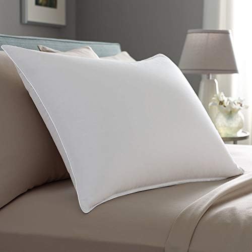 Pacific Coast Touch of Down Pillow Set 2-Pack with Protectors