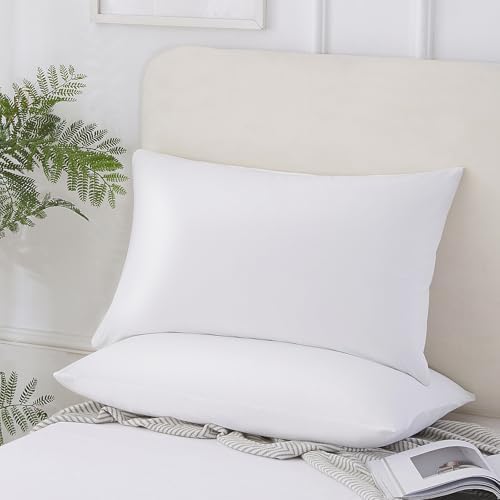 Vaulia Cooling Pillow Cases - Soft Silky Breathable Set of 2