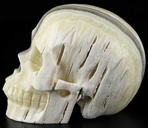 Skullis Zebra Calcite Crystal Skull Sculpture