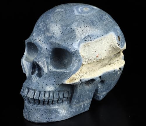 Skullis Blue Sponge Coral Crystal Skull Statue