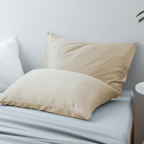 Zaizaihome Queen Pillow Protectors 2 Pcs Zippered Bamboo Viscose Beige