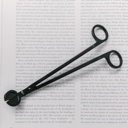 River Birch Candle Wick Trimmer and Snuffer Set - Black