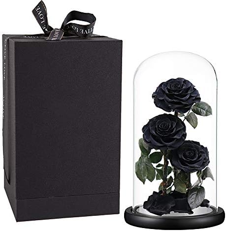 Perfectione Roses Preserved Flowers in Glass Dome Black Roses 13 Inch