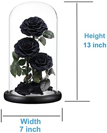 Perfectione Roses Preserved Flowers in Glass Dome Black Roses 13 Inch
