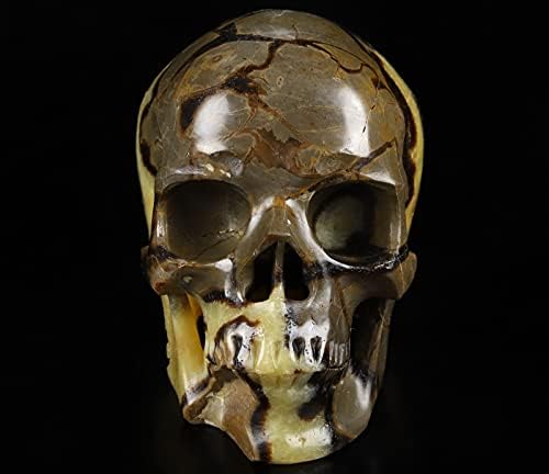 Skullis Dragon Septarian Crystal Skull Sculpture