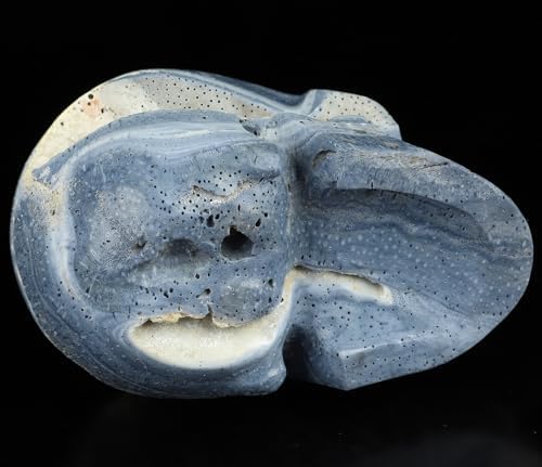Skullis Blue Sponge Coral Crystal Skull Statue