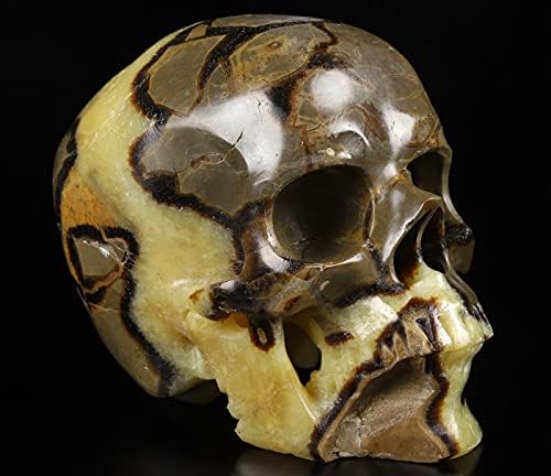 Skullis Dragon Septarian Crystal Skull Sculpture