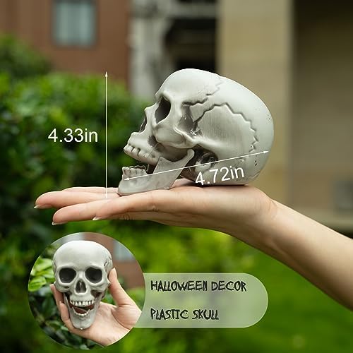 Realistic 5 Inch Plastic Mini Skulls Halloween Decor