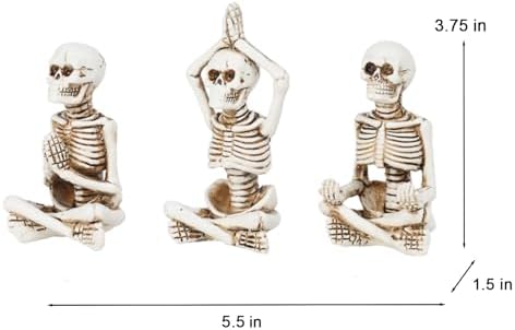 Newman House Studio Halloween Skeleton Decor Set of 3 1