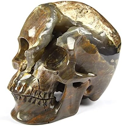 Skullis 50 Crystal Dinosaur Egg Agate Skull