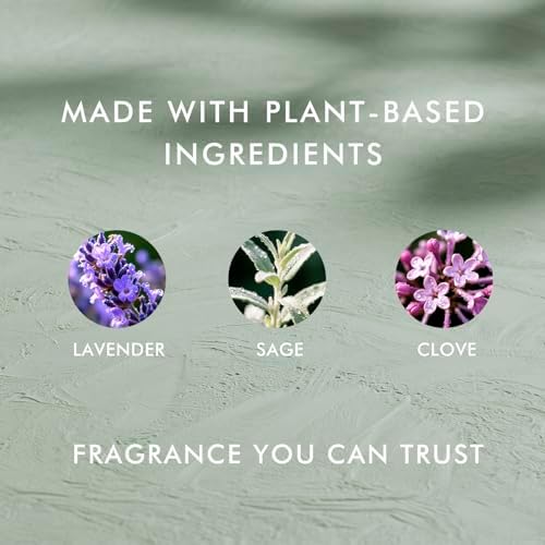 Lavender Room Spray 406 fl oz 2 Pack