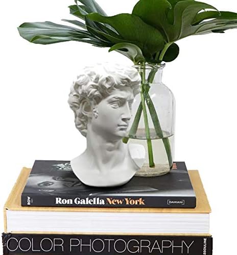 Greek Statue of David - 6 Inch Head Bust Decor
