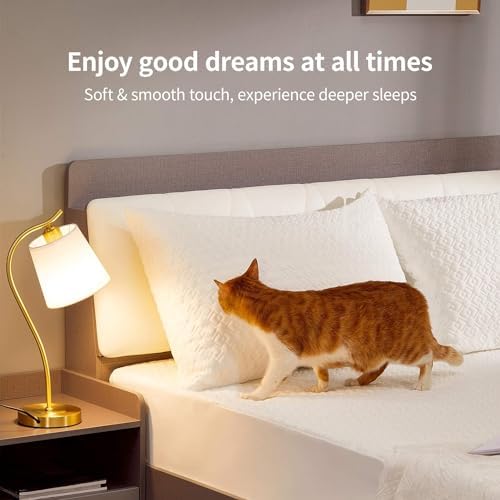 CoolShields Pillow Protector 2 Pack Waterproof Zippered King Size
