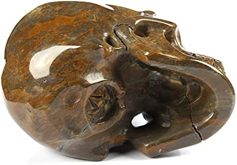 Skullis 50 Crystal Dinosaur Egg Agate Skull