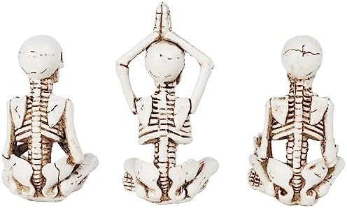 Newman House Studio Halloween Skeleton Decor Set of 3 1