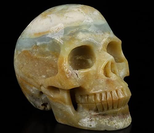 Skullis 50 Chinese Amazonite Crystal Skull Statue