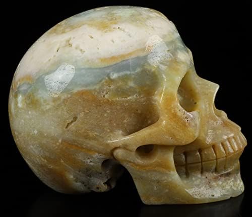 Skullis 50 Chinese Amazonite Crystal Skull Statue