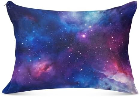 GAIGEO Plush Throw Pillow Case Zipper Closure 20x26 Inches