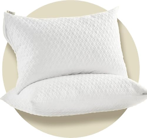 CoolShields Pillow Protector 2 Pack Waterproof Zippered King Size