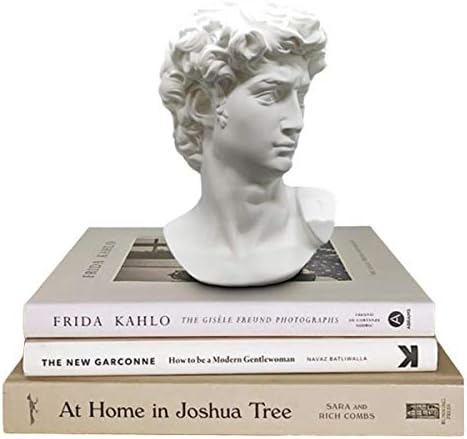 Greek Statue of David - 6 Inch Head Bust Decor