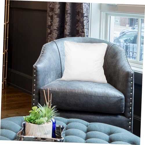 TOYANDONA Pillow Protector with Zipper Closure