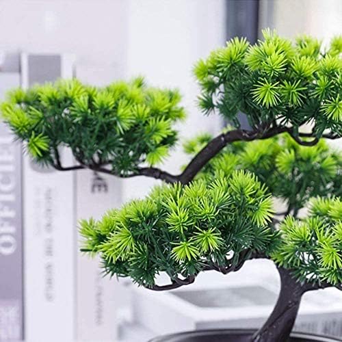 MaGILL Artificial Bonsai Tree in Pot 26x40cm