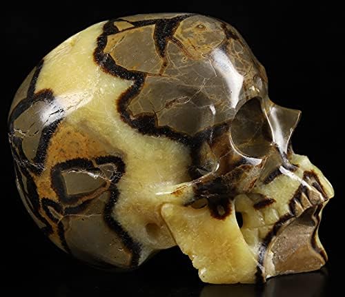 Skullis Dragon Septarian Crystal Skull Sculpture