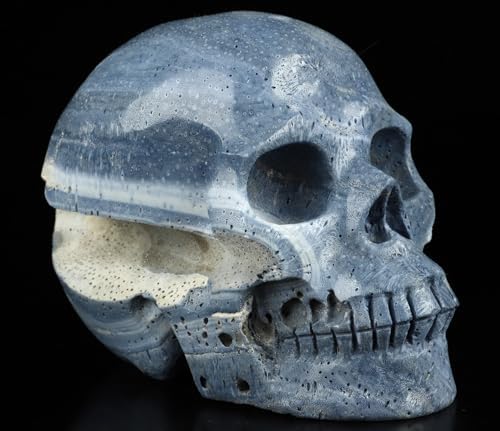 Skullis Blue Sponge Coral Crystal Skull Statue