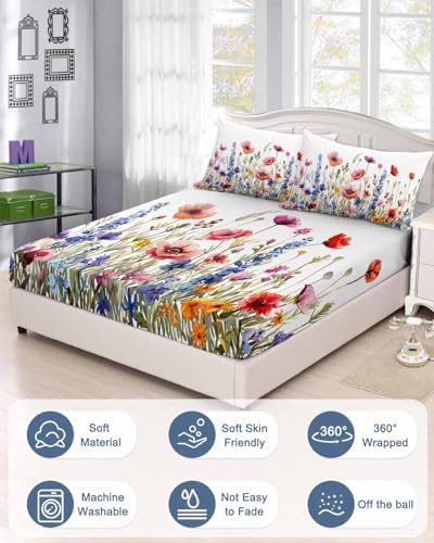 Chees D Zone King Fitted Sheet with Deep Pocket and Elastic Band