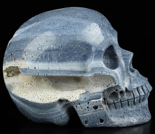 Skullis Blue Sponge Coral Crystal Skull Statue