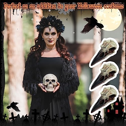 Geetery 8Pcs Halloween Raven Skull Wall Decor