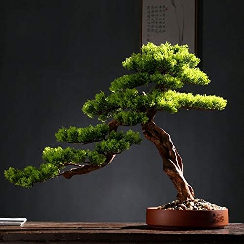 MaGILL Artificial Cedar Bonsai Tree in Ceramic Pot