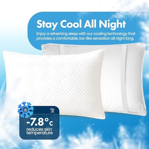 GML Summer Cool Ice Pillow Protector Set of 2