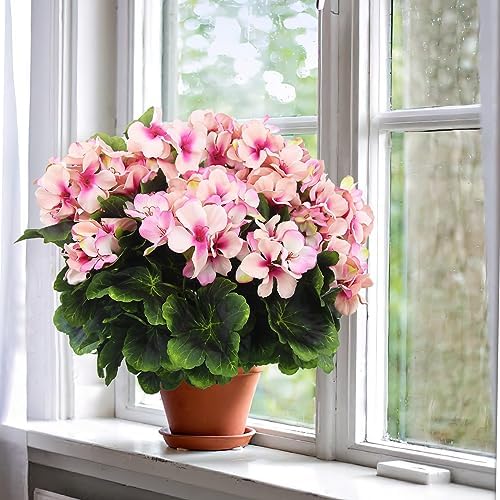 FAICOIA 2 Pcs Artificial Geraniums Bushes
