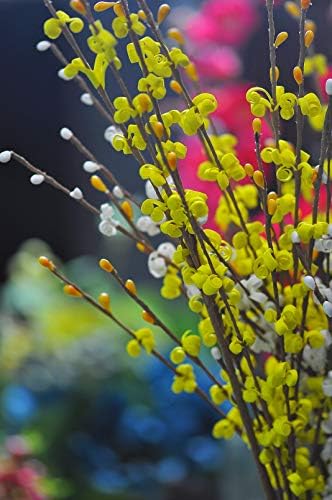 10pcs White Artificial Winter Jasmine Flower Bundle